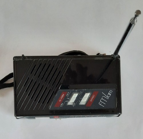 Kleine tragbares radio - kleine,