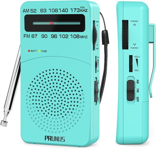 Ultra kleines tragbares fm - ultra-kleines,